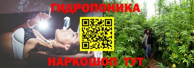 меф Долгопрудный