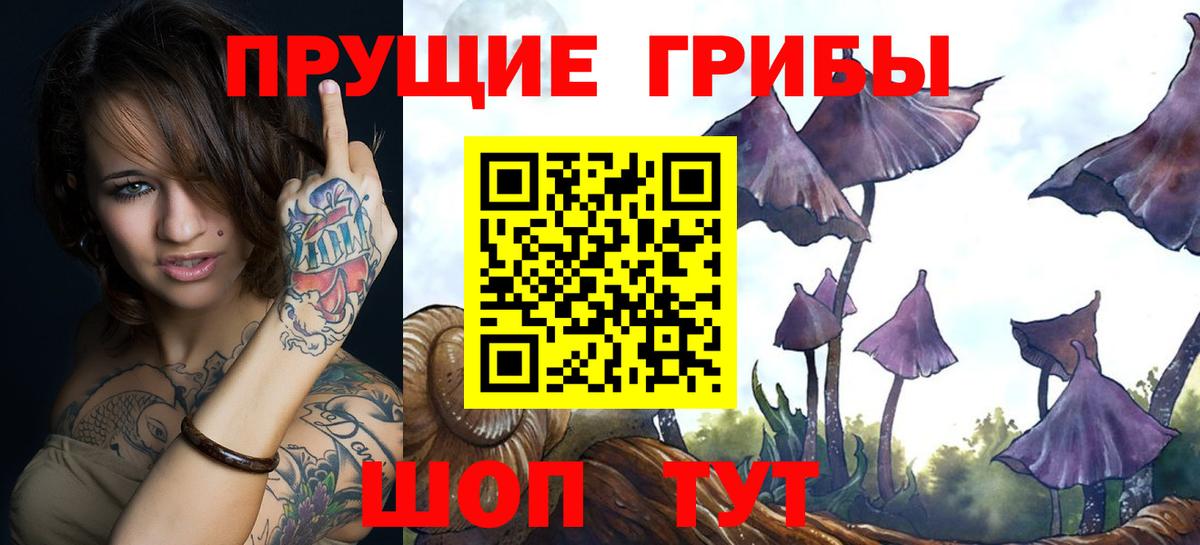 Галлюциногенные грибы Psilocybine cubensis  Вход с VPN  где купить наркоту  Ликино-Дулёво 